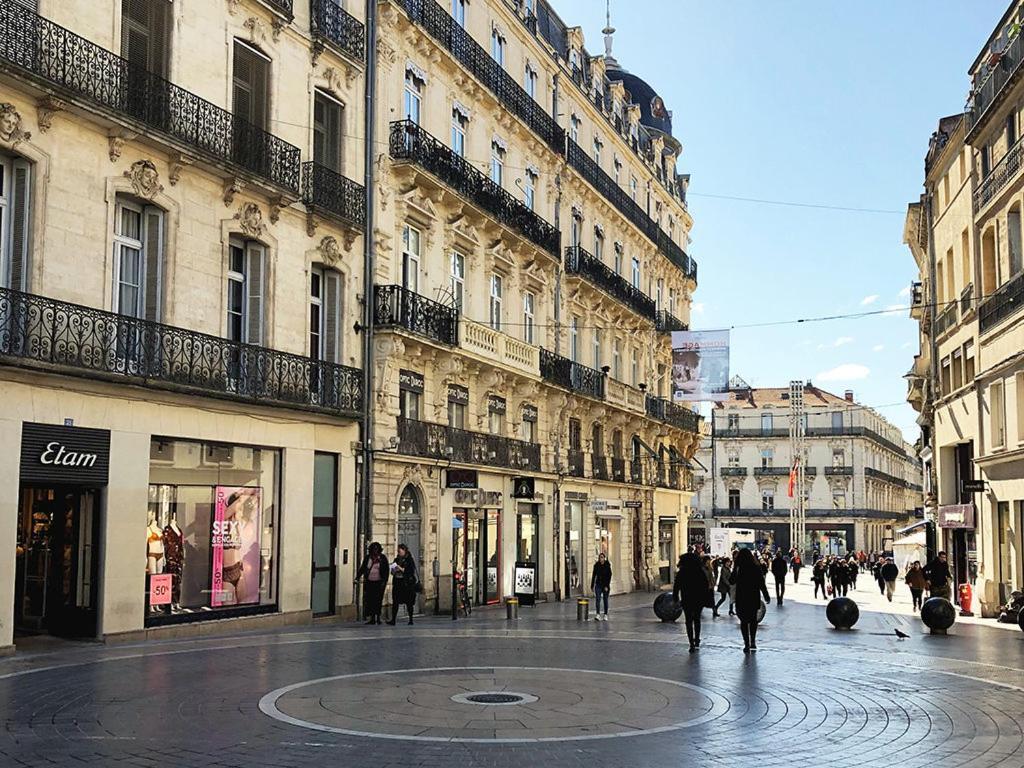 Le Havre De Paix Montpellierain - Terrasse Et Parking Prive Apartment