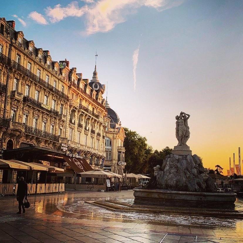 Apartment Le Havre De Paix Montpellierain - Terrasse Et Parking Prive Montpellier